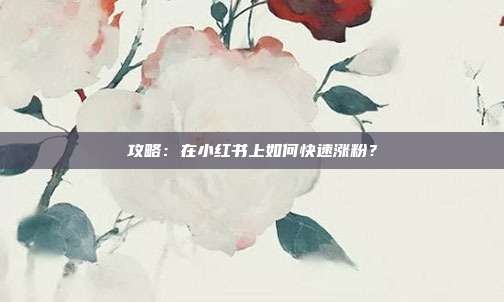 攻略：在小红书上如何快速涨粉？