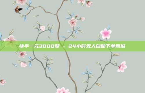 快手一元3000赞 - 24小时无人自助下单商城