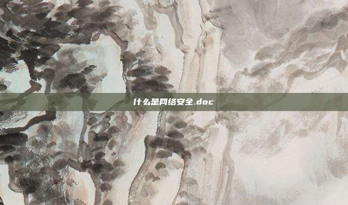 什么是网络安全.doc