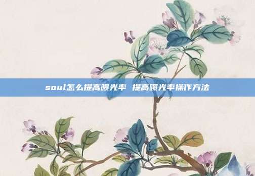 soul怎么提高曝光率 提高曝光率操作方法