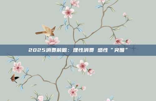 2025消费前瞻：理性消费 感性“突围”