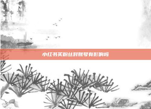 小红书买粉丝对账号有影响吗