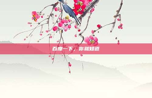 百度一下，你就知道