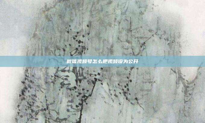 微信视频号怎么把视频设为公开