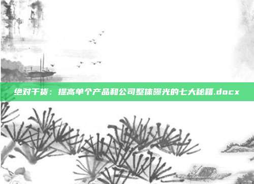 绝对干货：提高单个产品和公司整体曝光的七大秘籍.docx