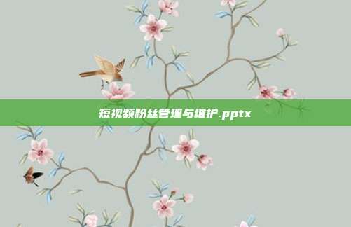 短视频粉丝管理与维护.pptx