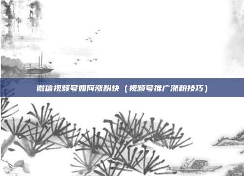 微信视频号如何涨粉快（视频号推广涨粉技巧）