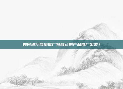 如何进行网络推广将自己的产品推广出去？