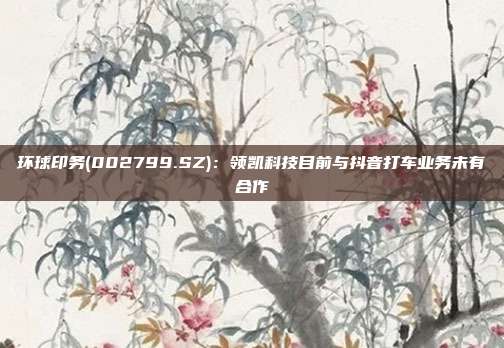 环球印务(002799.SZ)：领凯科技目前与抖音打车业务未有合作