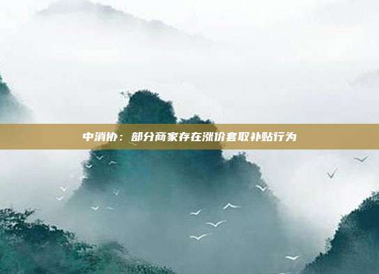 中消协:部分商家存在涨价套取补贴行为