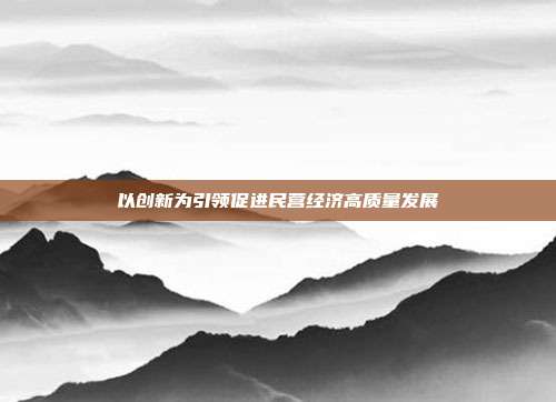 以创新为引领促进民营经济高质量发展