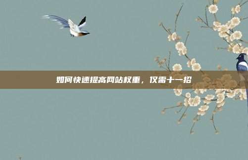 如何快速提高网站权重,仅需十一招