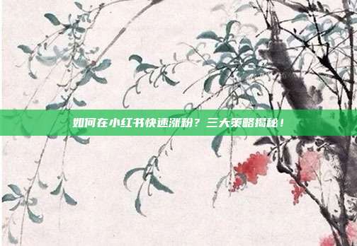 如何在小红书快速涨粉？三大策略揭秘！