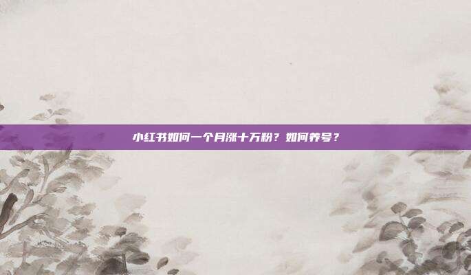 小红书如何一个月涨十万粉?如何养号?