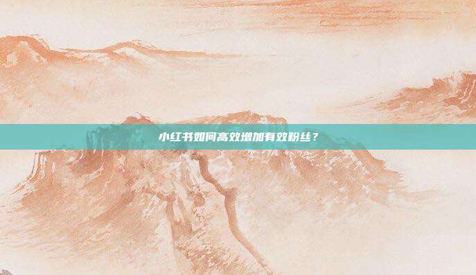 小红书如何高效增加有效粉丝?