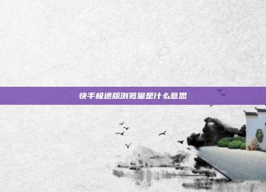 快手极速版浏览量是什么意思