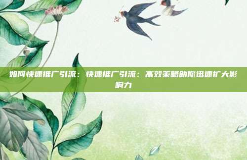 如何快速推广引流:快速推广引流:高效策略助你迅速扩大影响力