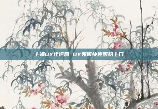 上海DY代运营 DY如何快速吸粉上门