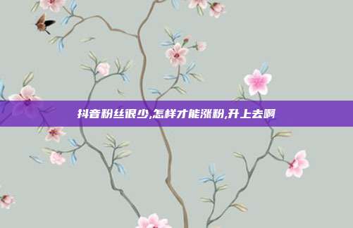 抖音粉丝很少,怎样才能涨粉,升上去啊