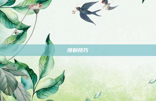 涨粉技巧
