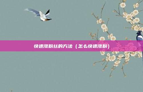 快速涨粉丝的方法（怎么快速涨粉）