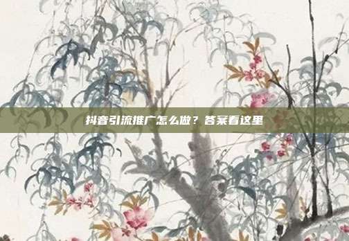 抖音引流推广怎么做?答案看这里