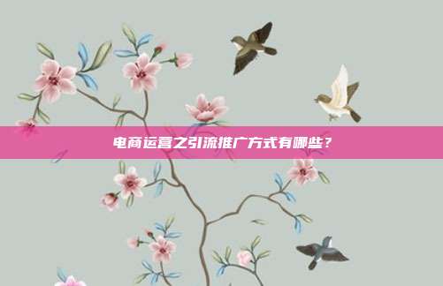 电商运营之引流推广方式有哪些?