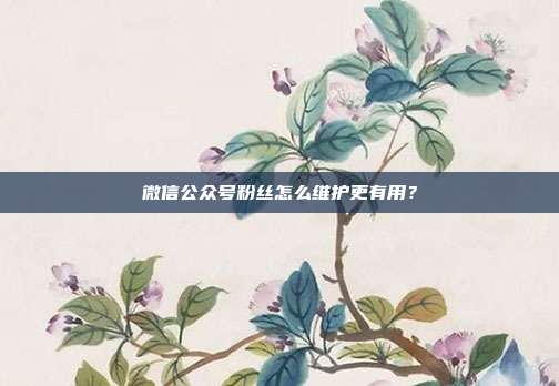 微信公众号粉丝怎么维护更有用?