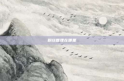 粉丝管理在哪里