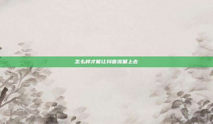 怎么样才能让抖音流量上去