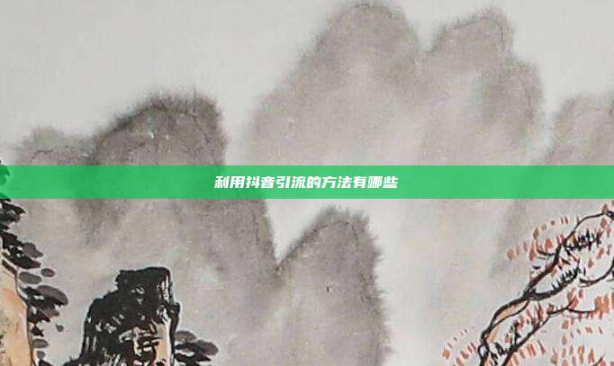 利用抖音引流的方法有哪些