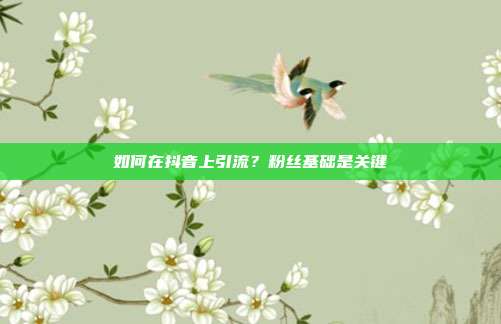 如何在抖音上引流?粉丝基础是关键