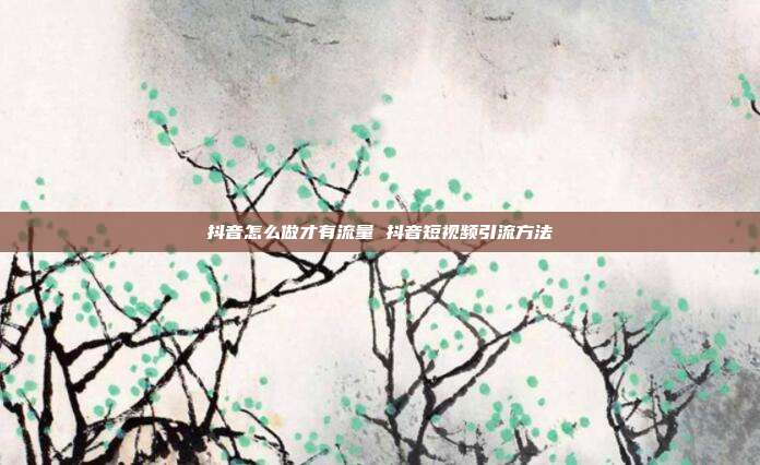 抖音怎么做才有流量 抖音短视频引流方法