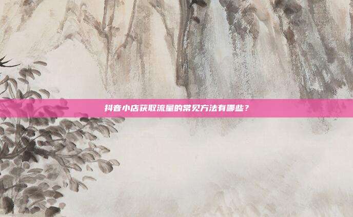 抖音小店获取流量的常见方法有哪些?