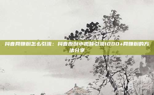 抖音网赚粉怎么引流:抖音原创小视频引流1000+网赚粉的方法分享