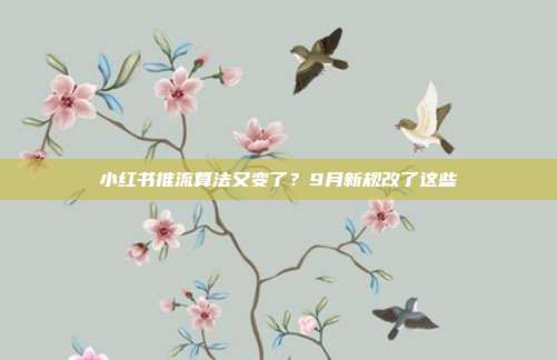 小红书推流算法又变了?9月新规改了这些