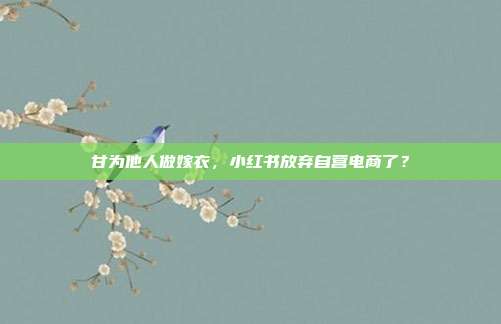 甘为他人做嫁衣,小红书放弃自营电商了?