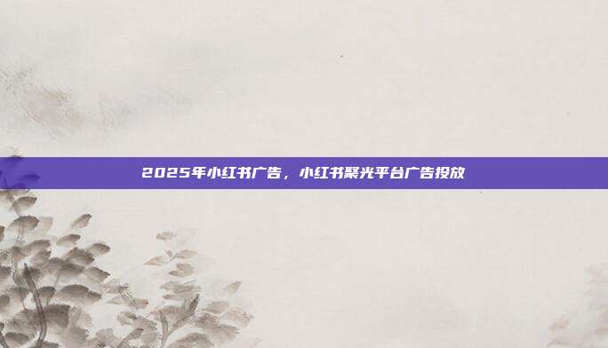 2025年小红书广告，小红书聚光平台广告投放