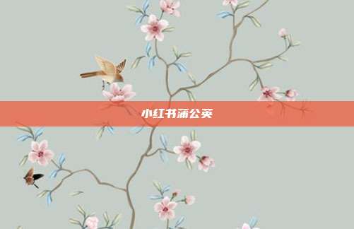 小红书蒲公英