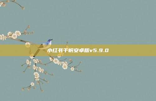 小红书千帆安卓版v5.9.0