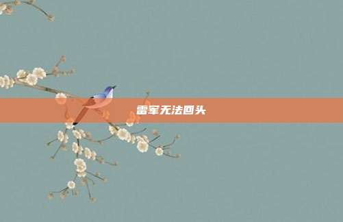 雷军无法回头