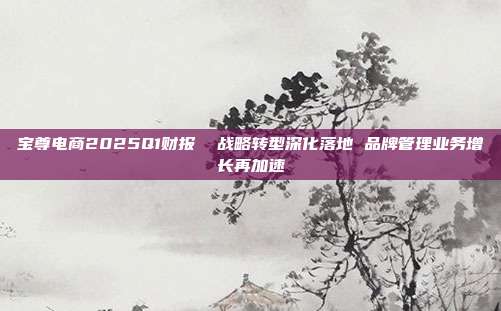 宝尊电商2025Q1财报 战略转型深化落地 品牌管理业务增长再加速