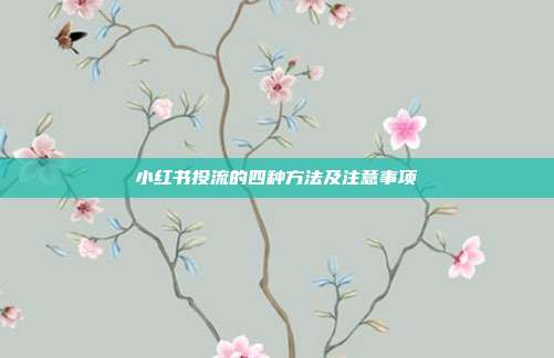 小红书投流的四种方法及注意事项