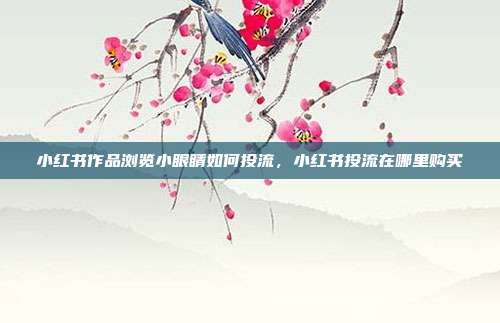小红书作品浏览小眼睛如何投流,小红书投流在哪里购买