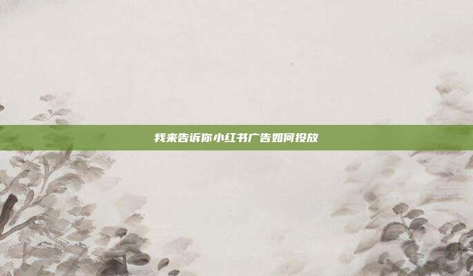 我来告诉你小红书广告如何投放
