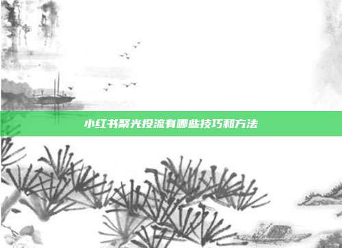 小红书聚光投流有哪些技巧和方法
