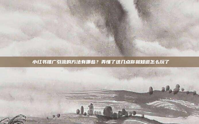 小红书推广引流的方法有哪些?弄懂了这几点你就知道怎么玩了