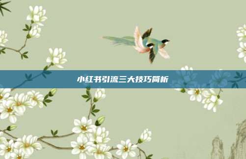 小红书引流三大技巧简析