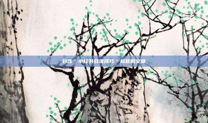 包含＂小红书引流技巧＂标签的文章