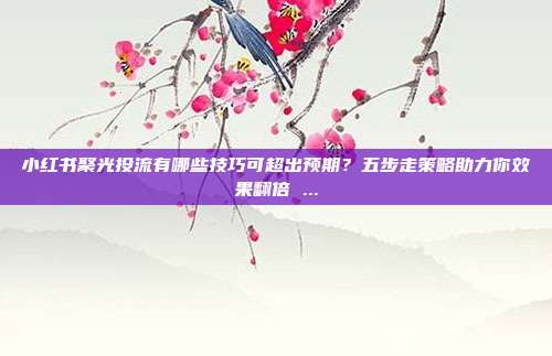 小红书聚光投流有哪些技巧可超出预期?五步走策略助力你效果翻倍 ...